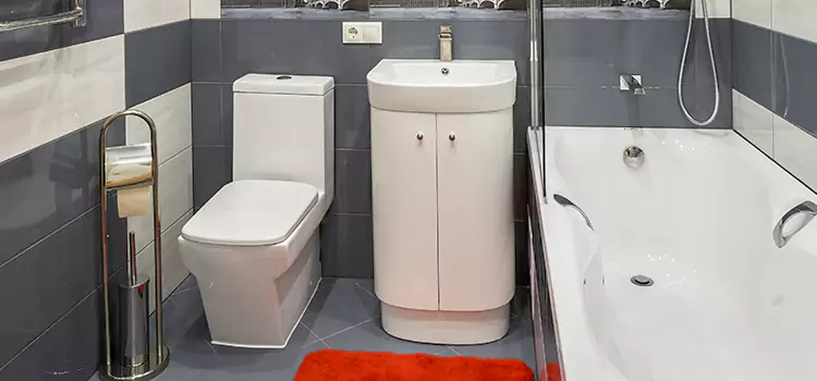 Hansgrohe Shaving Mirror Fort Hood
